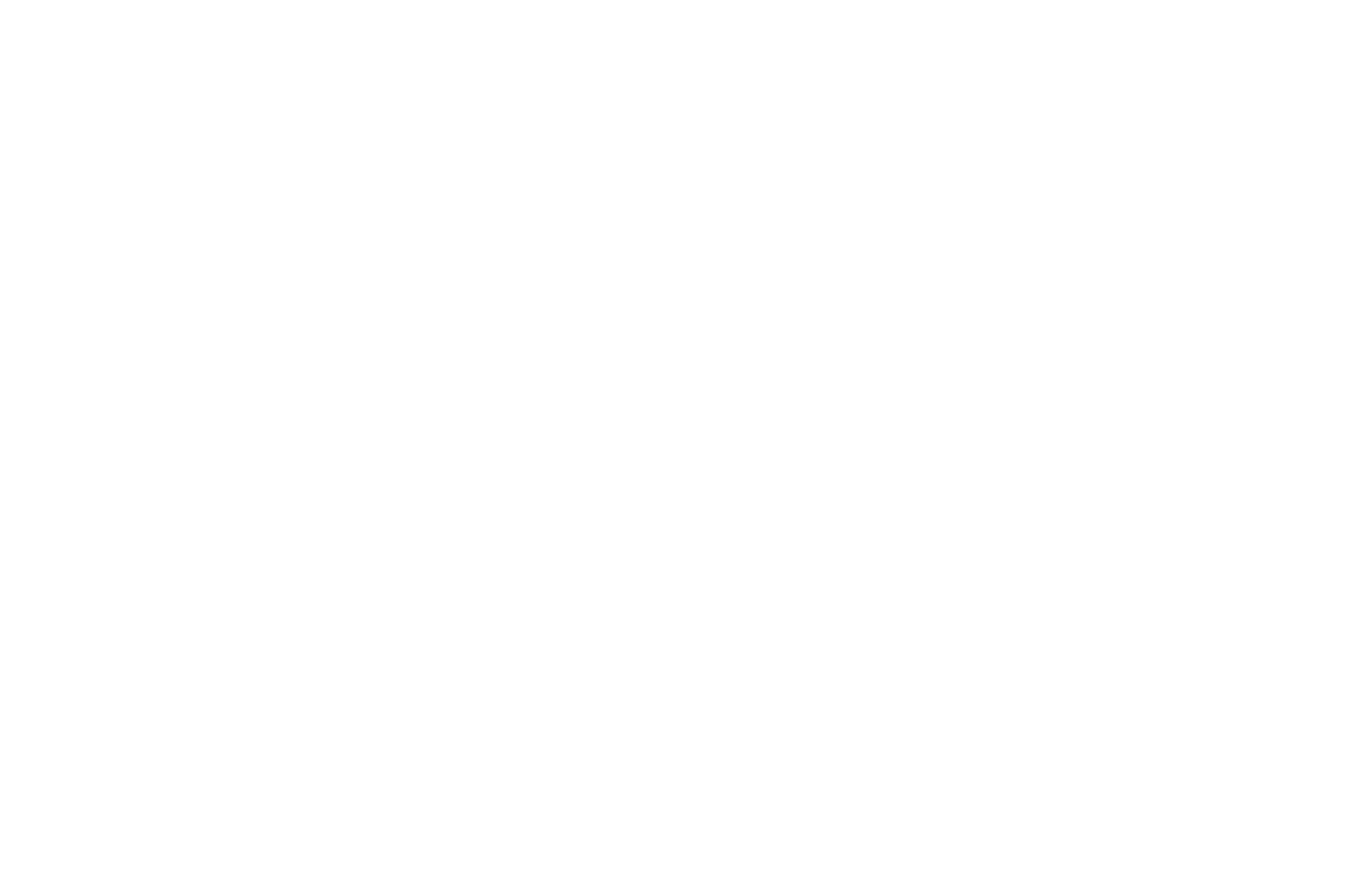 Femitec